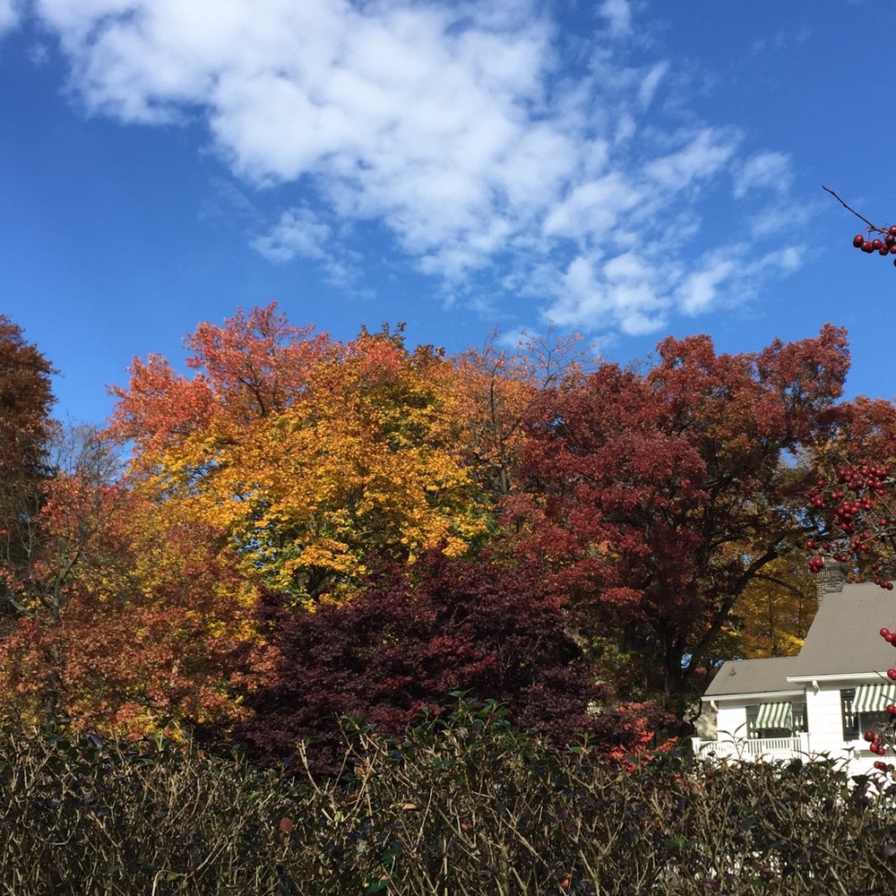 Meet your Posher, Kara